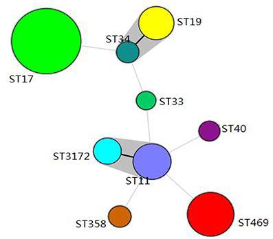 Serotype Distribution, Antimicrobial Resistance, and Class 1 Integrons Profiles of Salmonella from Animals in Slaughterhouses in Shandong Province, China